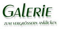 Galerie  zum vergrssern anklicken