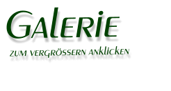 Galerie  zum vergrssern anklicken